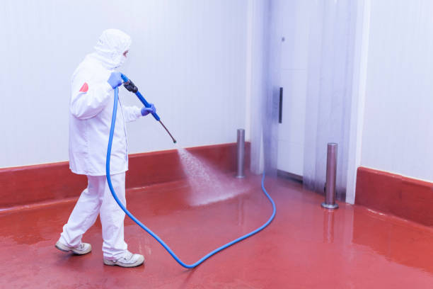 Best Boat and Dock Cleaning  in Mount Vernon, GA